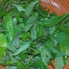 Cách làm Gỏi Gà Bắp Chuối hấp dẫn cho món khai vị 