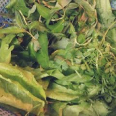 Cách Làm Gỏi Gà Rau Thơm Để Khai Vị Cực Ngon Lành