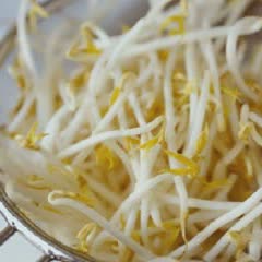 Cách Làm Gỏi Giá Đỗ Trộn Mè Thanh Mát Ngon Miệng