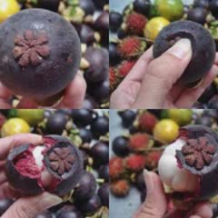Cách làm Gỏi Măng Cụt chua ngọt giòn sựt khá lạ miệng