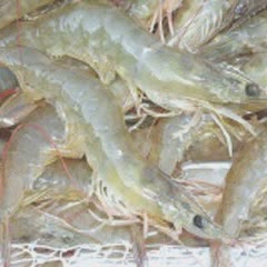 Cách Làm Gỏi Tôm Rau Nhút Làm Khai Vị Cực Ngon