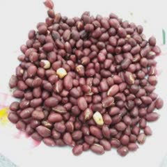 Cách làm nộm măng chua