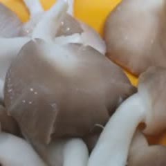 Cách Làm Nấm Bào Ngư Chiên Giòn Xốt Mắm Gừng