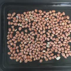 Cách làm Đậu phộng nướng ngũ vị