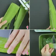 Cách làm nha đam đường phèn mát ngọt