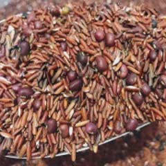 Cách Làm Nước Gạo Lứt Rang Đậu Đỏ, Cực Thanh Mát