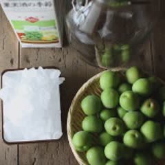 Cách làm rượu mơ xanh ngâm đường phèn