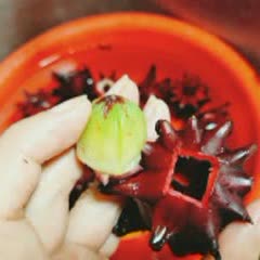 Cách làm siro hoa atiso đỏ