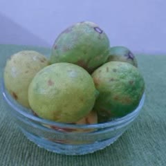 Cách làm Sữa nghệ đá viên pha chanh mật ong