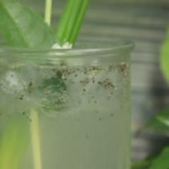 Cách làm Trà Xanh Bí Đao Nước Dừa Đường Phèn Ngon
