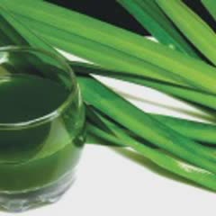 Cách làm Trân Châu Dừa Ngũ Sắc sần sật ăn hoài không ngừng 