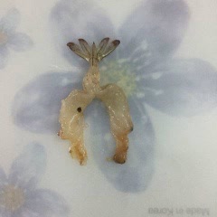 Cách Làm Bí Ngòi Hấp Tôm Tươi Đơn Giản, Thơm Ngon