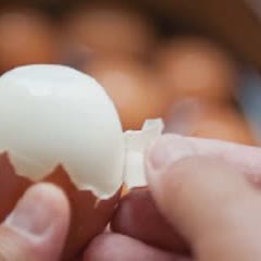 Cách Làm Cá Basa Kho Tàu Đậm Đà Đưa Cơm Mời Cả Nhà