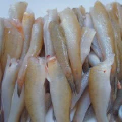 Cách Làm Cá Bống Sốt Cay Đậm Đà Đưa Cơm Cho Cả Nhà