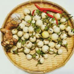 Cách làm cà muối giòn tan