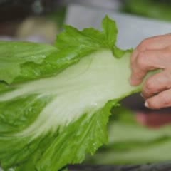Cách Làm Cơm Gà Chiên Cải Xanh Thơm Ngon Đơn Giản