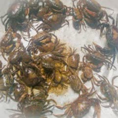 Cách làm Cua đồng sốt cay
