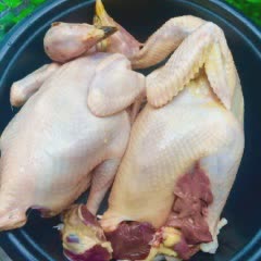 Cách làm Gà Tre Hấp Mắm Nhĩ thơm ngon mà dễ làm tại nhà