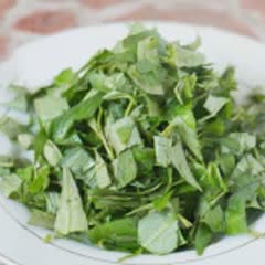 Cách làm Gà Trộn Rau Răm chua ngọt, nồng thơm siêu hấp dẫn 