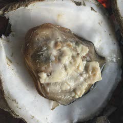 Cách làm hàu nướng phô mai béo ngậy