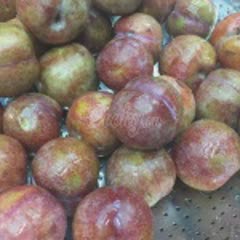 Cách làm Mận Bắc Dầm Muối Ớt ngon lành, ăn vặt hết sẩy