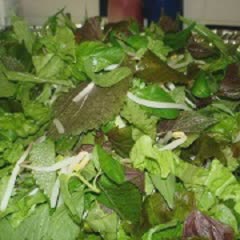 Cách Làm Mì Quảng Thịt Ếch Ngon Miệng Tại Nhà