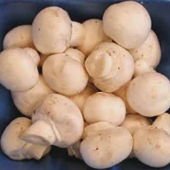 Cách Làm Nấm Mỡ Chiên Xù Thơm Ngon Đơn Giản Ở Nhà