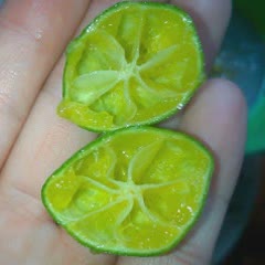 Cách làm nước dừa tắc chua ngọt