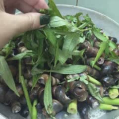 Cách làm Ốc Đinh Xào Dừa béo ngậy cho thực đơn cuối tuần