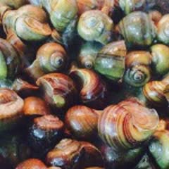 Cách Làm Ốc Mít Xào Cay Ngon Mời Cả Nhà Cuối Tuần