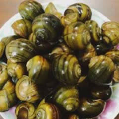 Cách Làm Ốc Mít Xào Cay Ngon Mời Cả Nhà Cuối Tuần