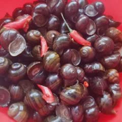 Cách làm ốc mít xào dừa