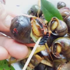 Cách làm ốc mít xào dừa