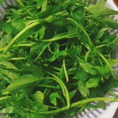 Cách làm Đọt rau lang xào tỏi