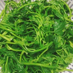 Cách làm Đọt rau lang xào tỏi