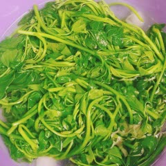 Cách làm Đọt rau lang xào tỏi