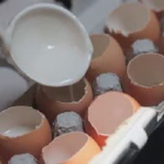 Cách Làm Rau Câu Hình Trứng Gà Thơm Ngon Hấp Dẫn