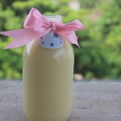 Cách Làm Sữa Đậu Xanh Lá Dứa Giải Độc Cho Cơ Thể