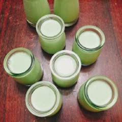 Cách làm sữa chua matcha