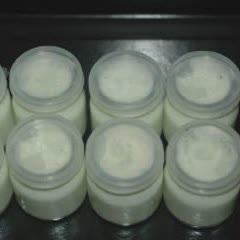 Cách làm Sữa Chua Trà Xanh đủ dinh dưỡng cho cả gia đình