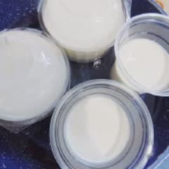 Cách Làm Sữa Chua Từ Sữa Tươi Béo Ngậy