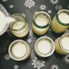 Cách làm sữa chua tươi ngon