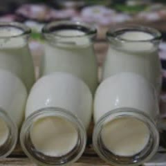 Cách làm sữa chua tươi ngon
