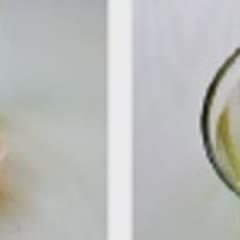 Cách làm thạch sữa dưa hấu
