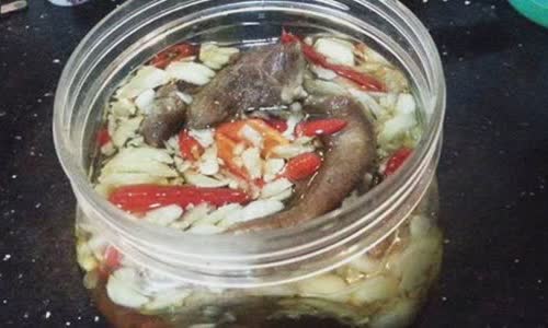 Cách làm thịt bò ngâm dấm