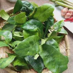 Cách Làm Thịt Nướng Lá Chanh Đơn Giản, Thơm Ngon