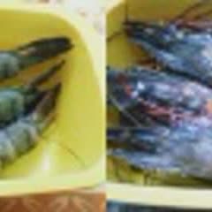 Cách Làm Tôm Chiên Mỡ Hành Thơm Ngon Khó Cưỡng