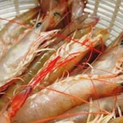 Cách làm Tôm Luộc Nam Hinh nóng hổi cho bữa cơm gia đình