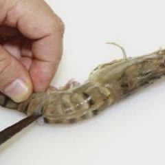 Cách Làm Tôm Sốt Dứa Mayonnaise Lạ Miệng Thơm Ngon