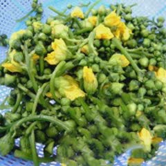 Cách Làm Tôm Xào Nụ Hoa Mướp Đơn Giản, Thanh Đạm